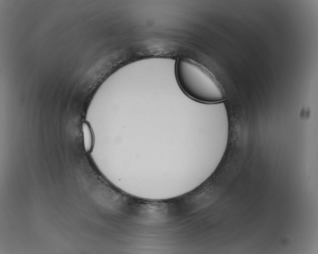 X0000112740317200909171207