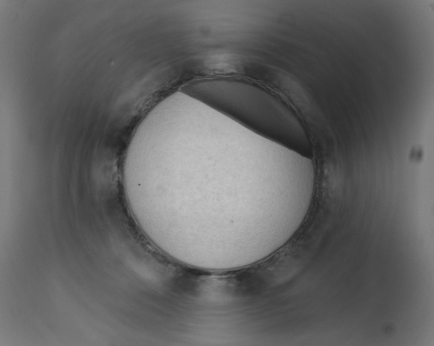 X0000112740320200909171207