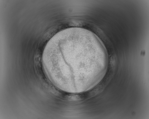 X0000112740322200909171207