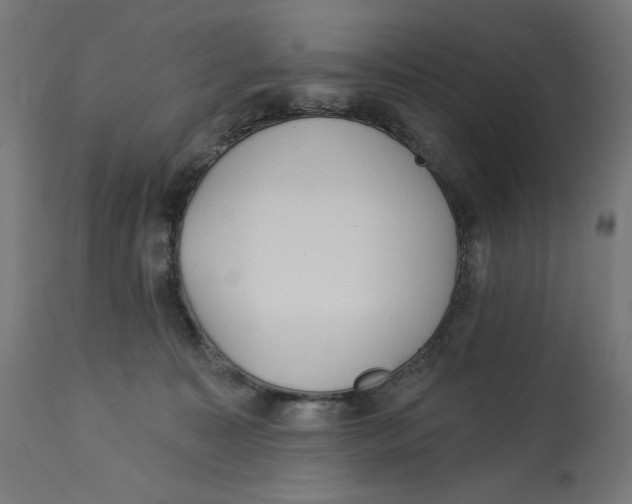 X0000112740323200909171207