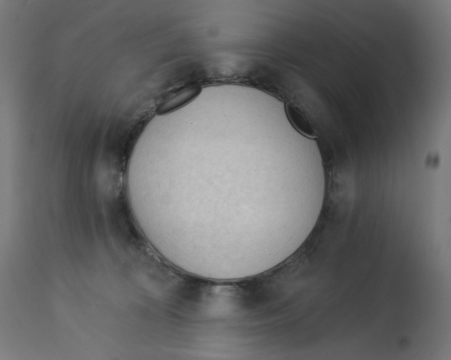 X0000112740324200909171207