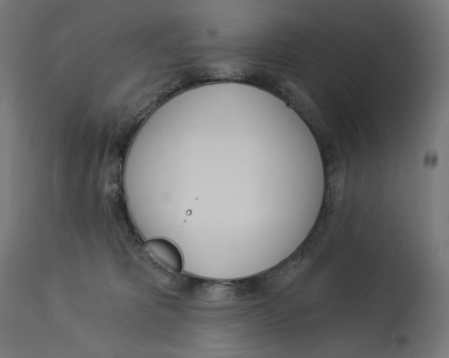 X0000112740325200909171207