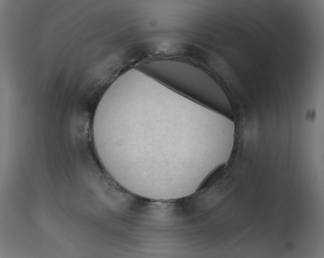 X0000112740328200909171207