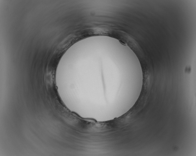 X0000112740329200909171207