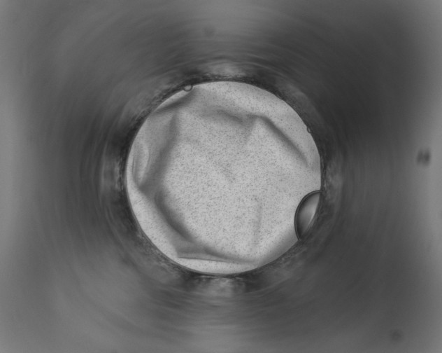 X0000112740330200909171207