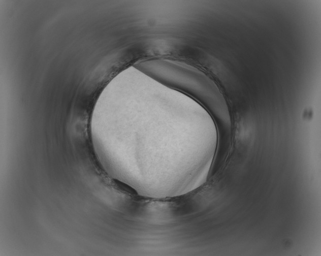 X0000112740332200909171207