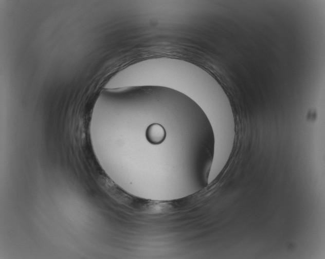 X0000112740333200909171207