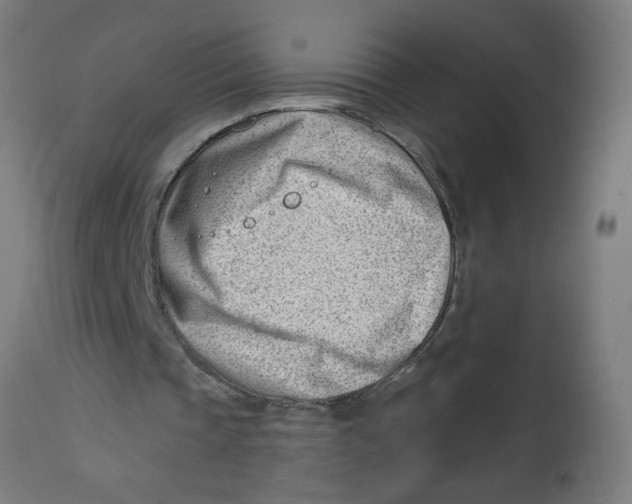 X0000112740337200909171206