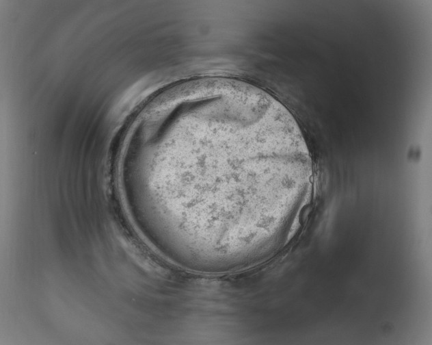 X0000112740339200909171206