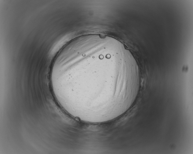 X0000112740341200909171206