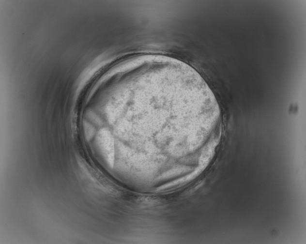 X0000112740343200909171206