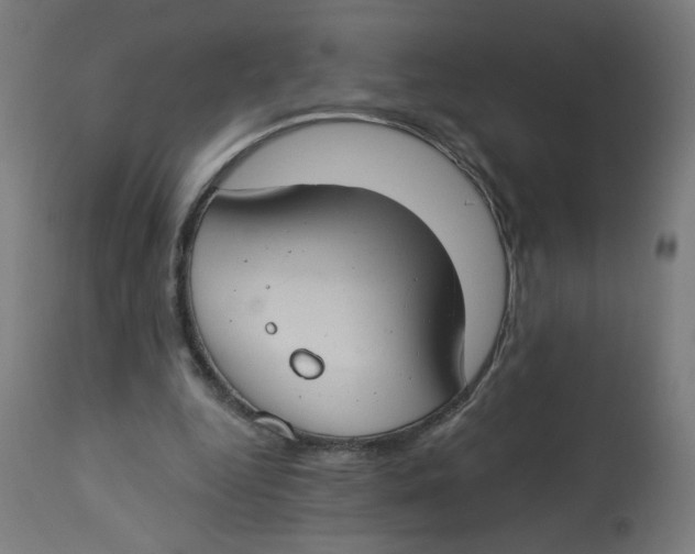 X0000112740344200909171206