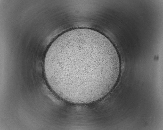 X0000112740345200909171206