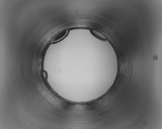 X0000112740350200909171206