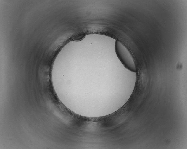 X0000112740356200909171206