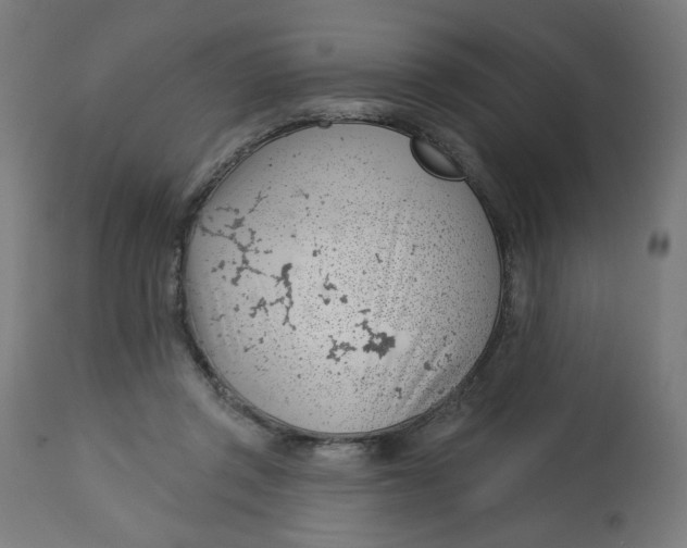 X0000112740357200909171206