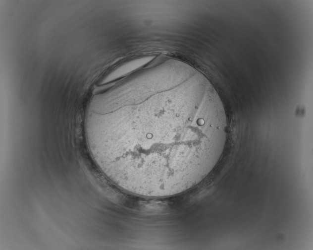 X0000112740359200909171206