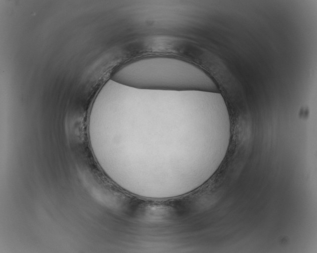 X0000112740360200909171206