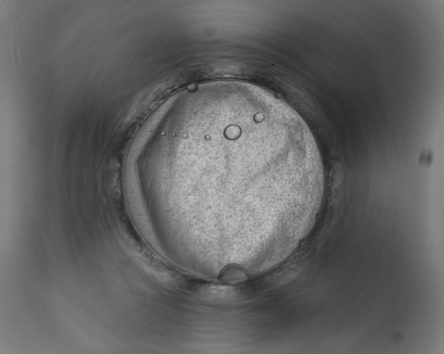 X0000112740361200909171206