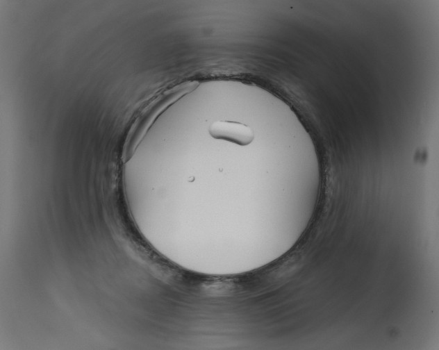 X0000112740362200909171206