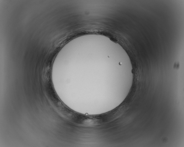 X0000112740364200909171206