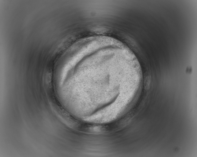 X0000112740365200909171206