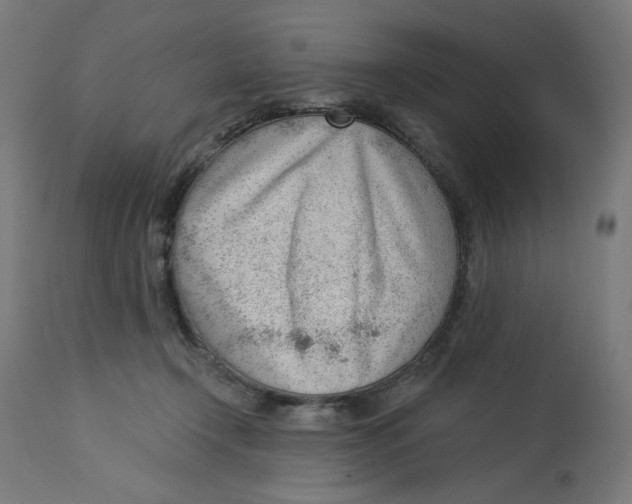 X0000112740366200909171206