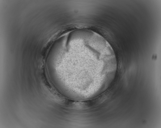 X0000112740367200909171206