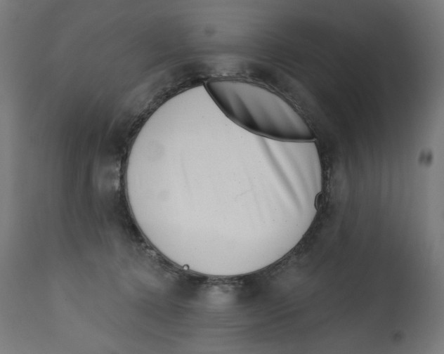 X0000112740368200909171206