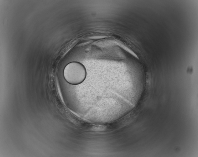 X0000112740369200909171206