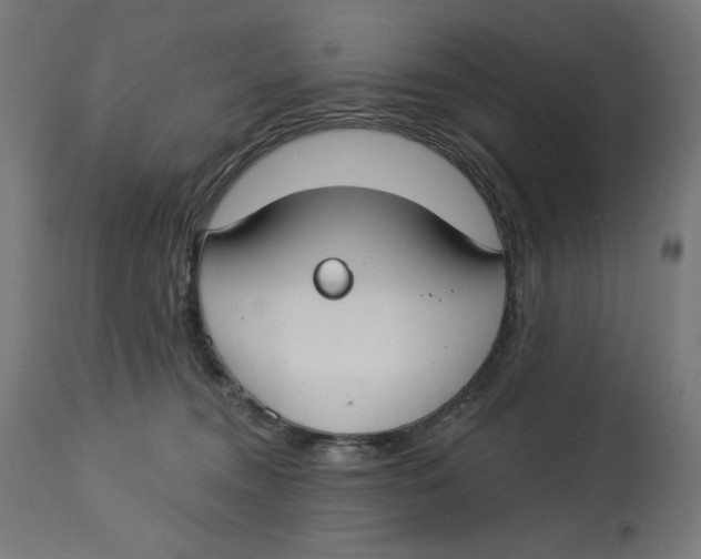 X0000112740372200909171207