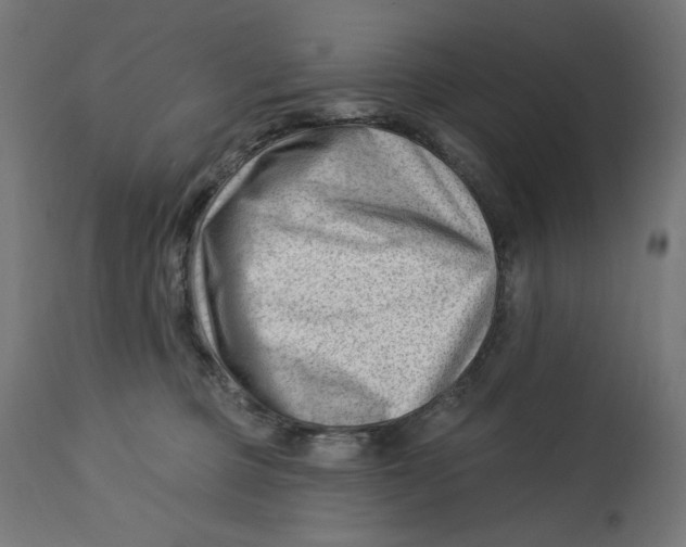 X0000112740373200909171207