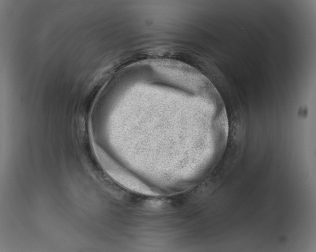 X0000112740375200909171207