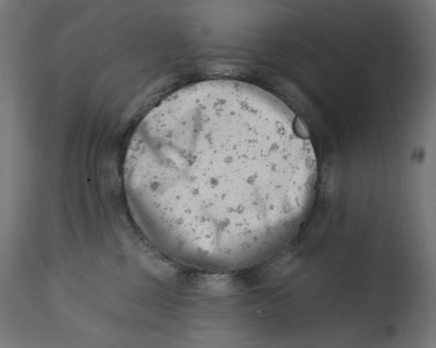 X0000112740377200909171207