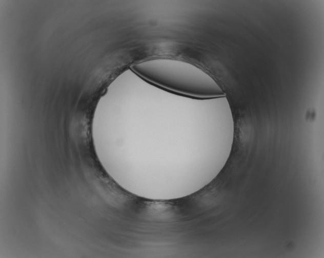 X0000112740380200909171207