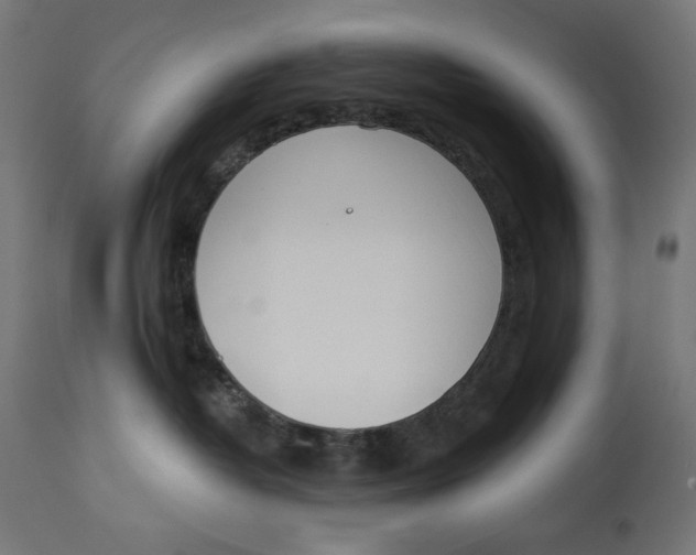 X0000112740382200909171207