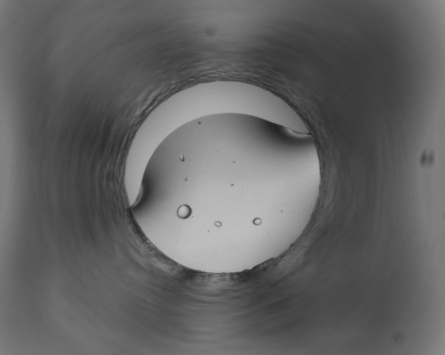 X0000112740384200909171207