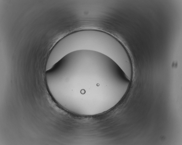 X0000112740385200909171206