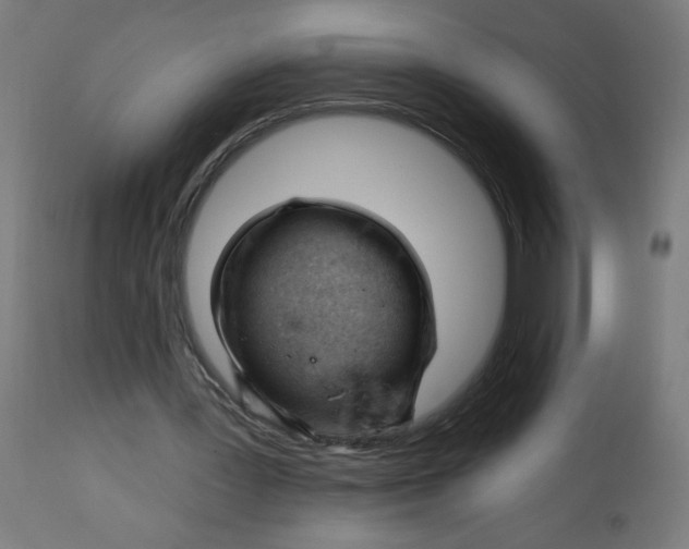 X0000112740387200909171206