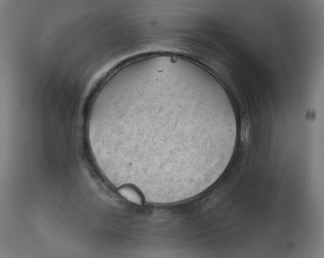 X0000112740388200909171206