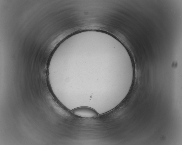 X0000112740389200909171206