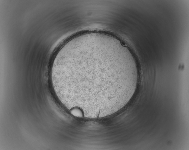 X0000112740392200909171206