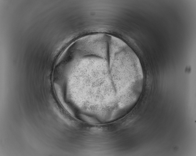 X0000112740394200909171206