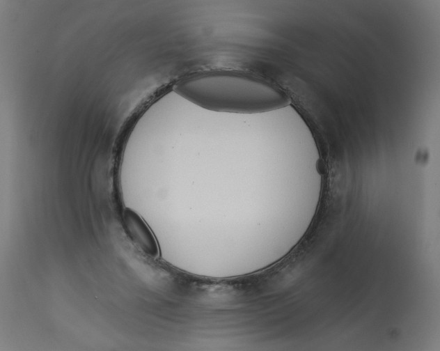 X0000112740395200909171206