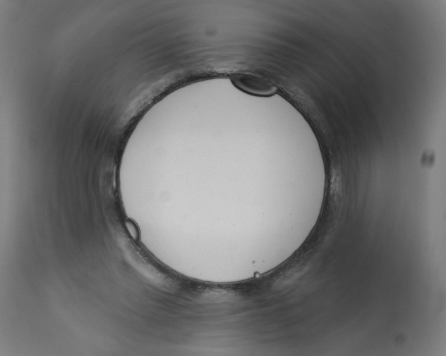 X0000112740397200909171206