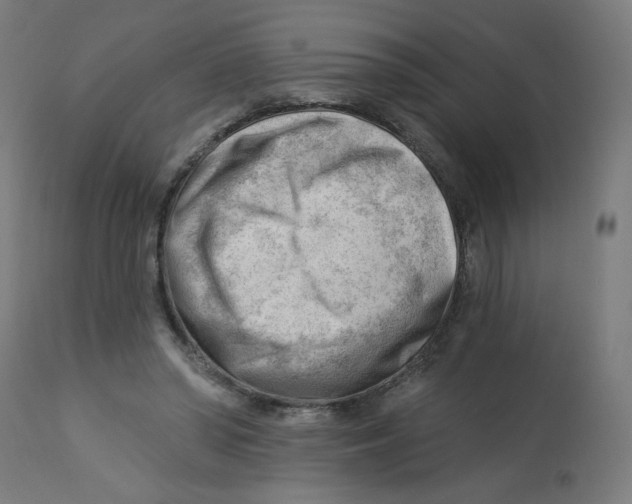 X0000112740398200909171206