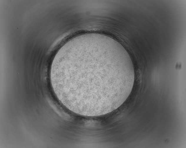 X0000112740400200909171206