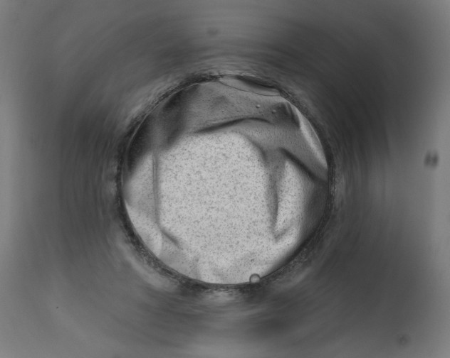 X0000112740402200909171206