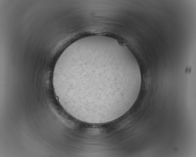 X0000112740404200909171206