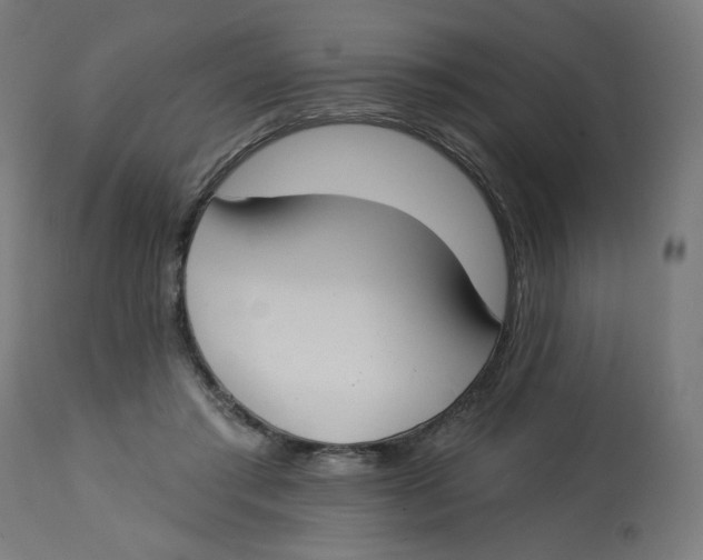 X0000112740405200909171206